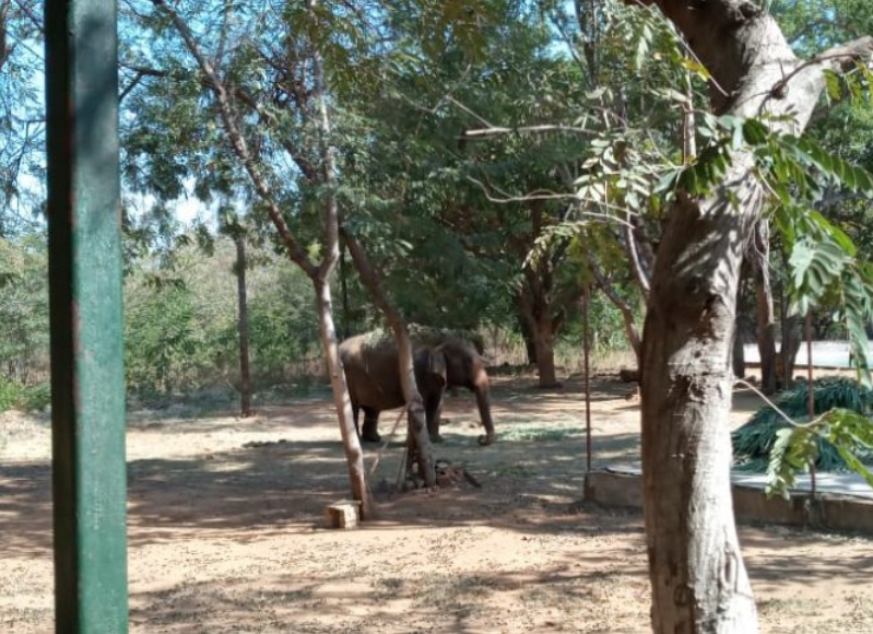 Students at bird sanctuary